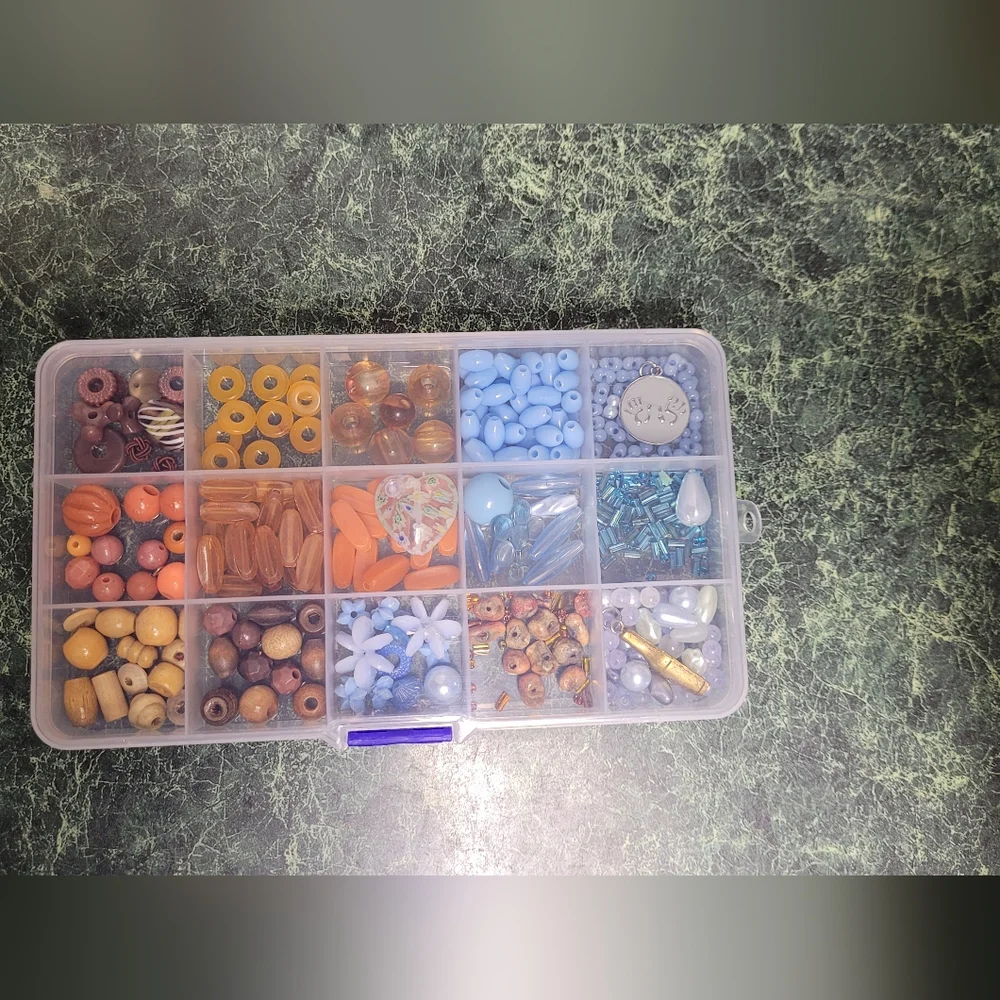 Clear Bead Organizer with Blue and Orange Beads